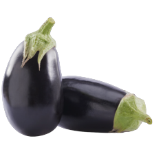 Aubergine